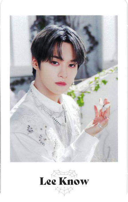 STRAY KIDS 2ND WORLD TOUR "MANIAC ENCORE" in JAPAN / PHOTO CARD SET