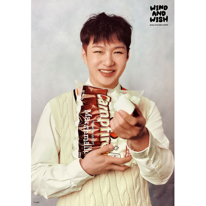 비투비 | BTOB | 12TH MINI ALBUM [ WIND AND WISH ] | (CHANGSUB VER.) POSTER ONLY