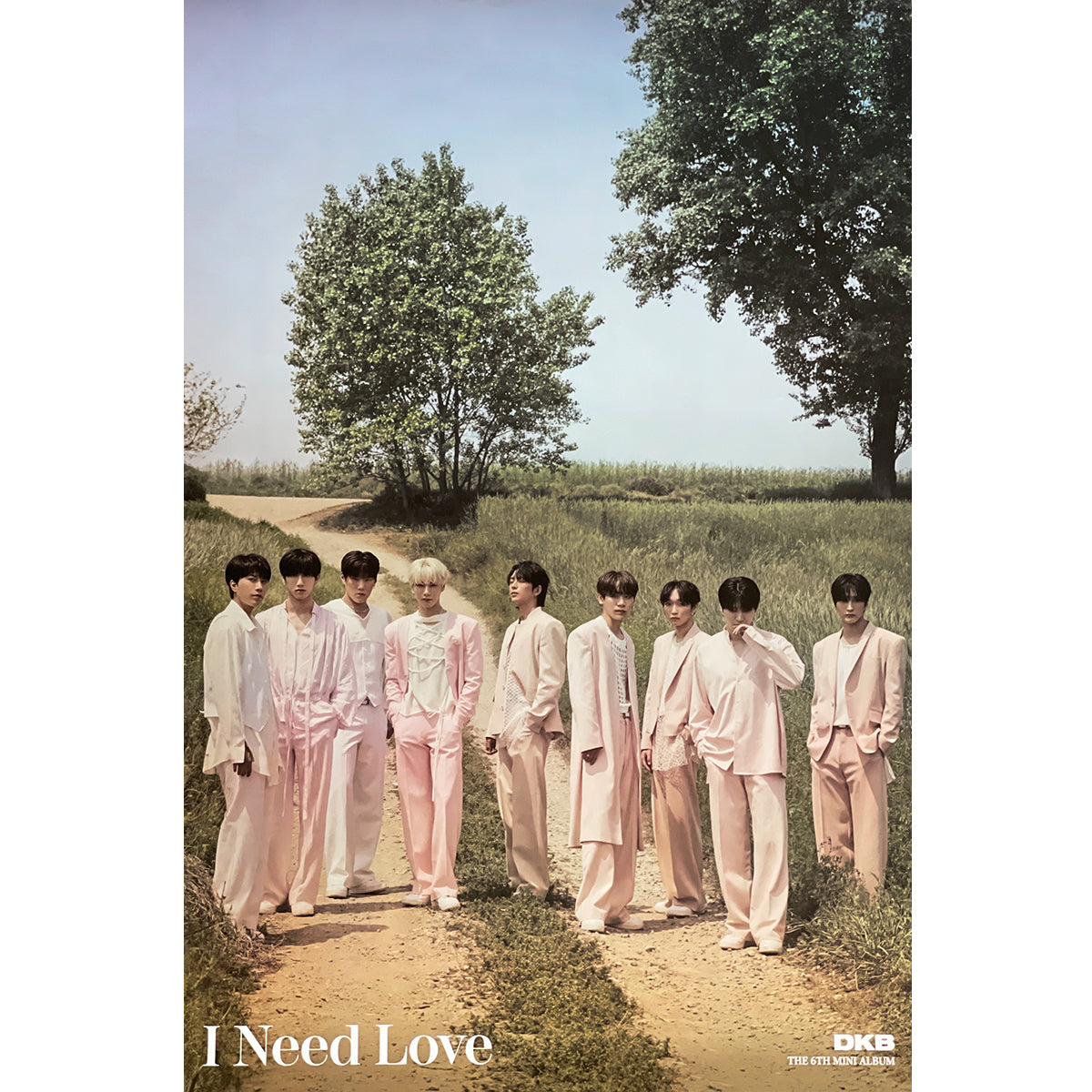 다크비 | DKB | 6TH MINI ALBUM [ I NEED LOVE ] | (B VER.) POSTER ONLY ...