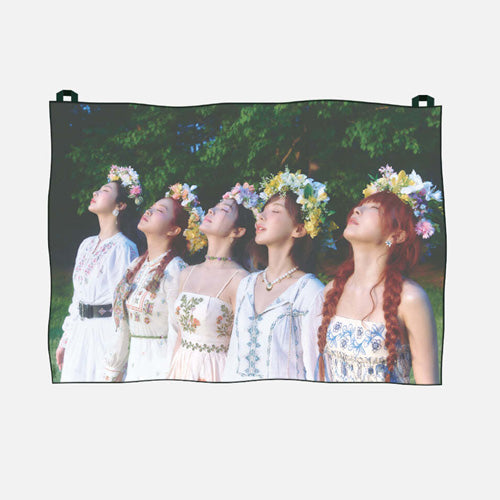 RED VELVET [ COSMIC ] CHIFFON FABRIC POSTER