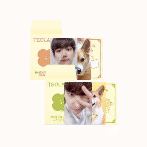 터래기 | TEOLAEGI [ ZIPDURI ] RANDOM LUCKY CARD SET