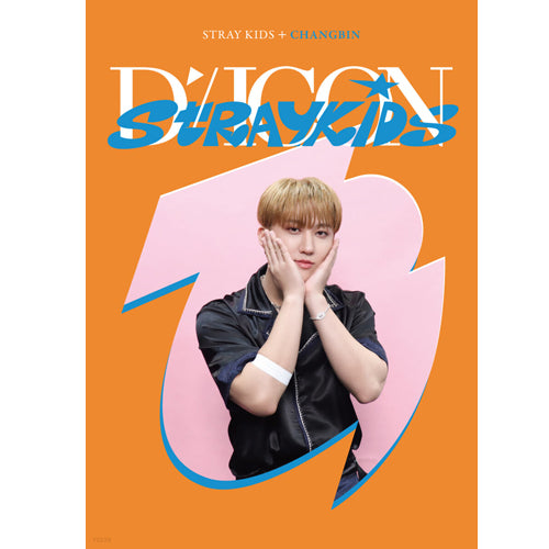 디아이콘 | D-ICON [ D'FESTA STRAY KIDS ] MINI EDITION