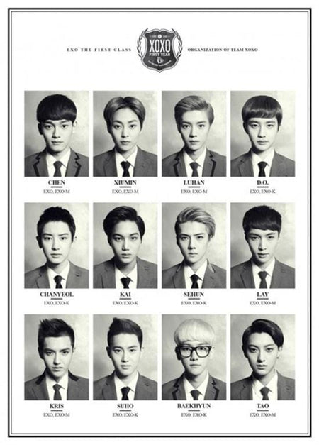 MUSIC PLAZA Poster EXO | 엑소 | 24.5" X 30" POSTER