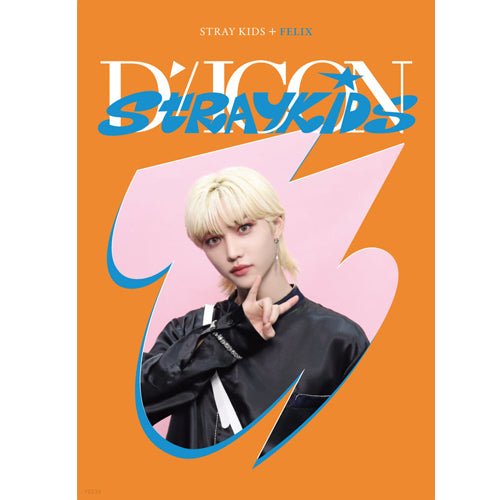 디아이콘 | D-ICON [ D'FESTA STRAY KIDS ] MINI EDITION