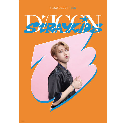 디아이콘 | D-ICON [ D'FESTA STRAY KIDS ] MINI EDITION