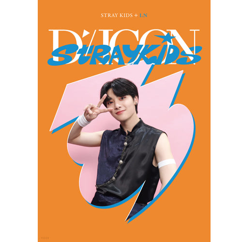 디아이콘 | D-ICON [ D'FESTA STRAY KIDS ] MINI EDITION