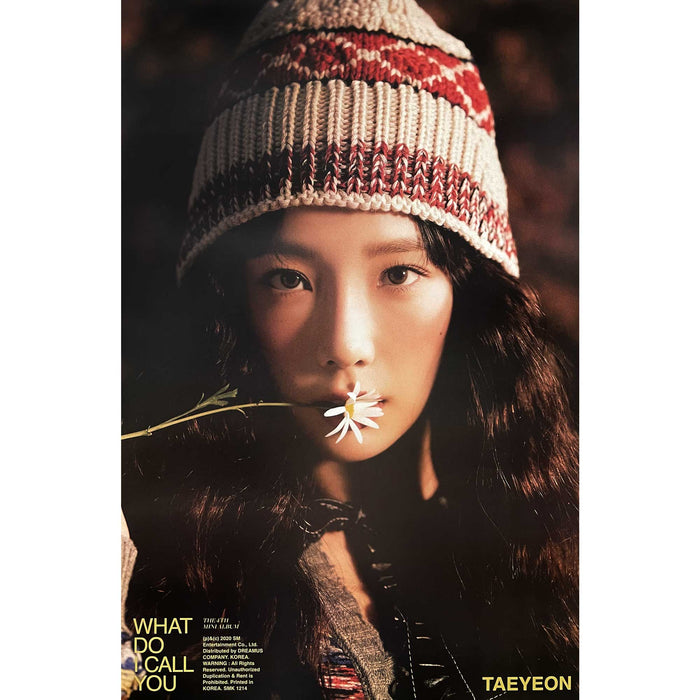 태연 | TAEYEON | 4TH MINI ALBUM [ WHAT DO I CALL YOU ] | (MY DAISY - B VER.) POSTER ONLY