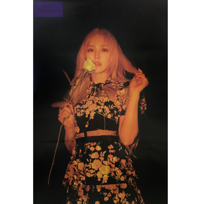 레드벨벳 | RED VELVET | 1ST COMPILATION ALBUM [ THE REVE FESTIVAL: FINALE ] | (WENDY VER.) POSTER ONLY