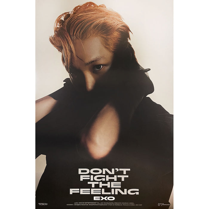 엑소 | EXO | SPECIAL ALBUM [ DON'T FIGHT THE FEELING ] | (JEWEL CASE - KAI  VER.) POSTER ONLY - Music Plaza