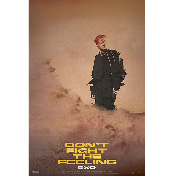 엑소 | EXO | SPECIAL ALBUM [ DON'T FIGHT THE FEELING ] | (PHOTO BOOK VER.1 -  KAI VER.) POSTER ONLY - Music Plaza