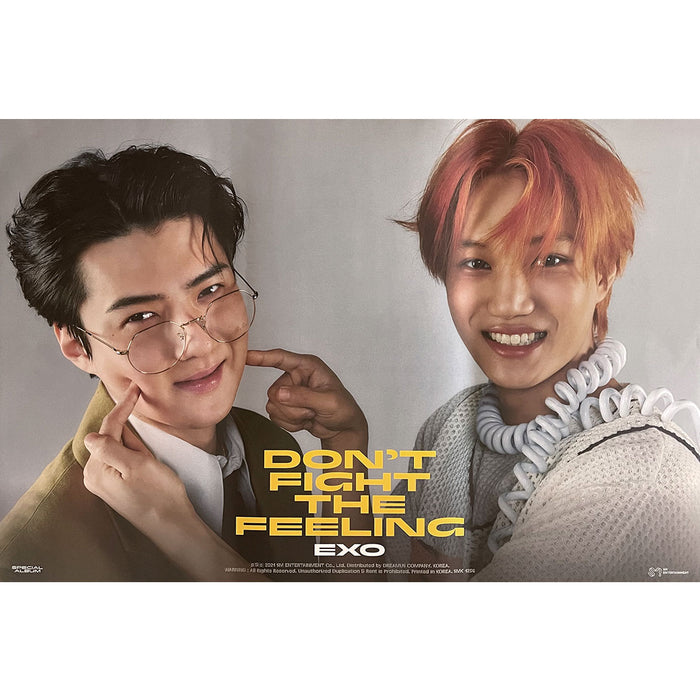 엑소 | EXO | SPECIAL ALBUM [ DON'T FIGHT THE FEELING ] | (EXPANSION - SEHUN+KAI VER.) POSTER ONLY