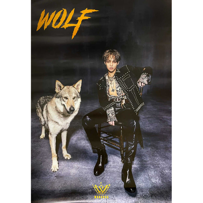 김우성 | KIM WOOSUNG | 1ST MINI ALBUM [ WOLF ] | (B VER.) POSTER ONLY