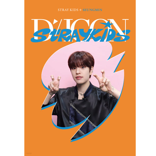 디아이콘 | D-ICON [ D'FESTA STRAY KIDS ] MINI EDITION