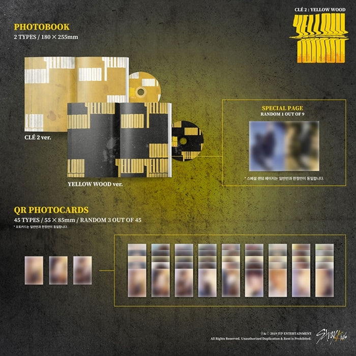 STRAY KIDS 1ST SPECIAL ALBUM [ CLE 2: YELLOW WOOD ] STANDARD VERSION