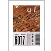 MUSIC PLAZA CD NEVER GOT7 | 갓세븐 | Flight Log : Arrival Album