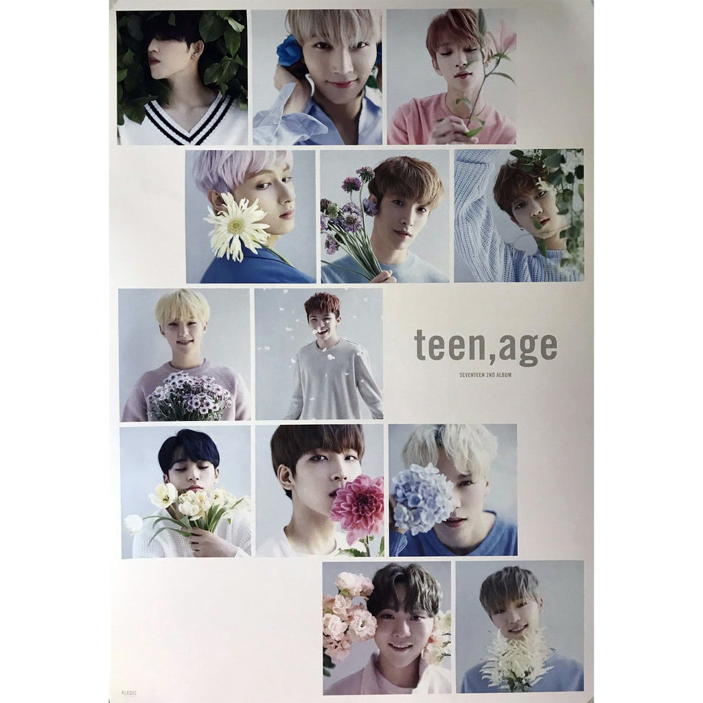 日本売り SEVENTEEN 2ndアルバム teen age - CD