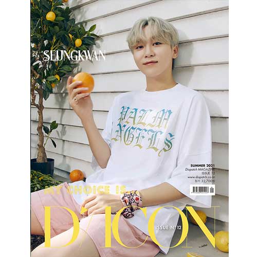 D-ICON VOL. 12 [ MY CHOICE IS... SEVENTEEN ]