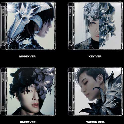 Shinee - Don't Call Me [Photobook ver.] (Vol.7) Album+Extra Photocards –  KPOP MARKET [Hanteo & Gaon Chart Family Store]