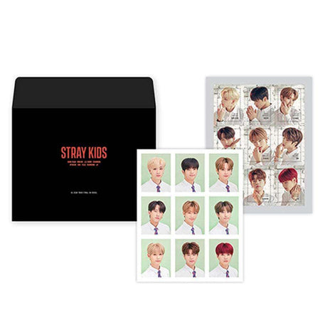 MUSIC PLAZA Goods STRAY KIDS [ HI- STAY TOUR FINALE IN SEOUL ] PORTRAIT PHOTO&STAMP STICKER